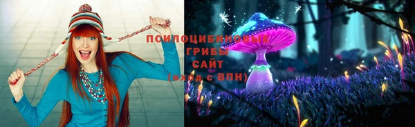 герыч Алексин