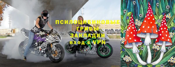 герыч Алексин