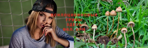 герыч Алексин