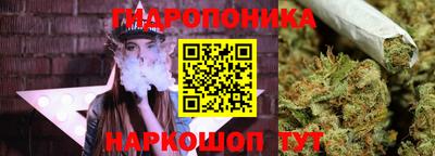 дмт Кинель