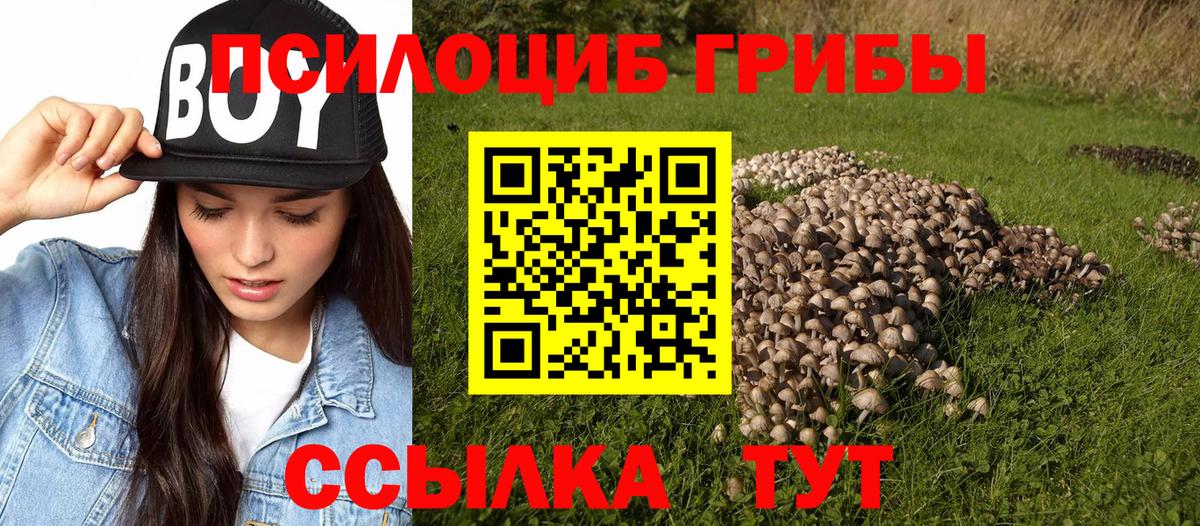 Крымск  Галлюциногенные грибы GOLDEN TEACHER  Вход с VPN 